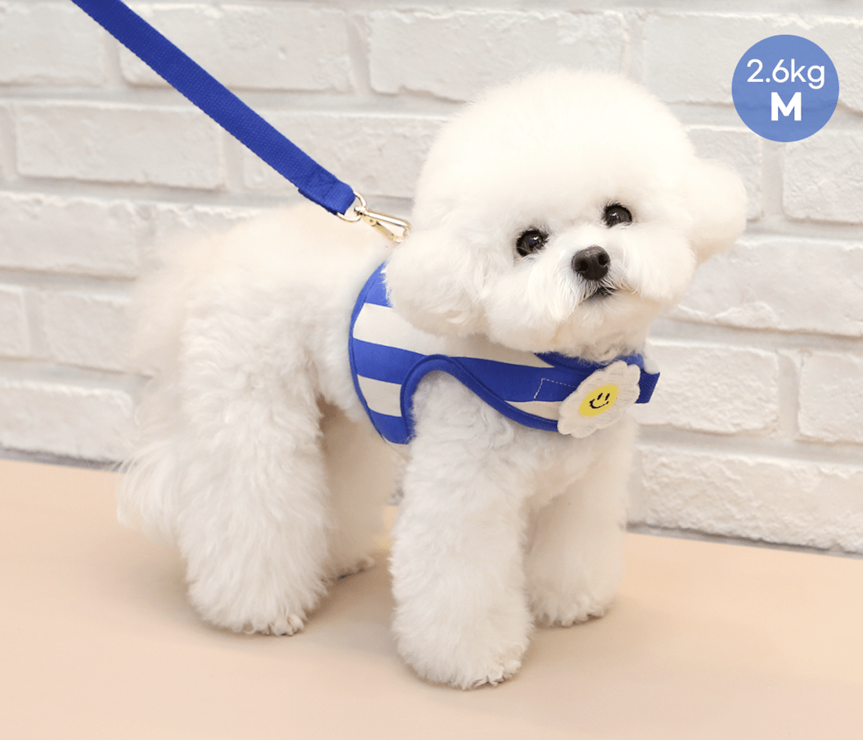 Harnais Daisy – Image 2